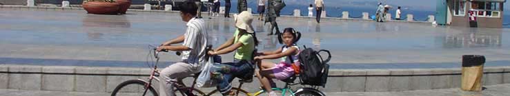 the bike show image