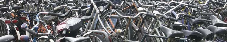 the bike show image
