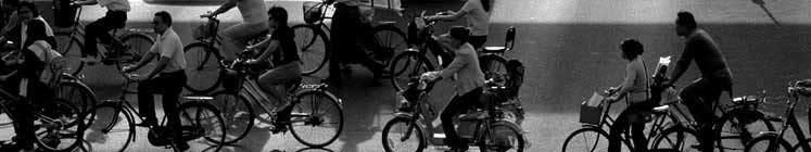 the bike show image
