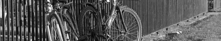 the bike show image